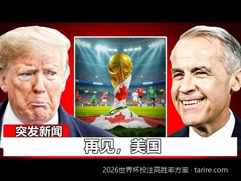 2026世界杯小组赛高胜率投注方案：如何利用历史数据避开热门陷阱